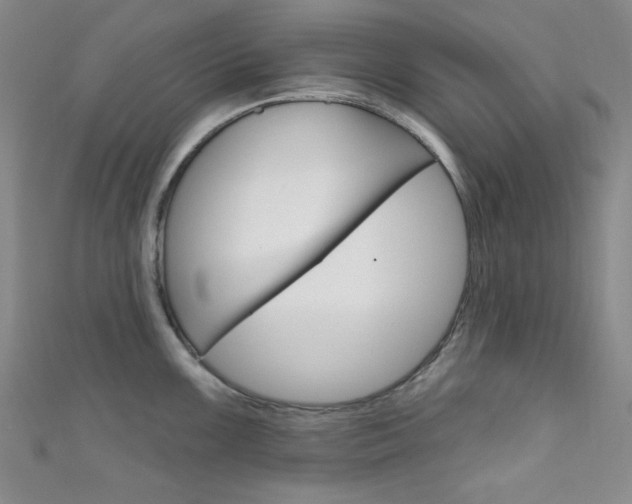 X0000111641099200907171033