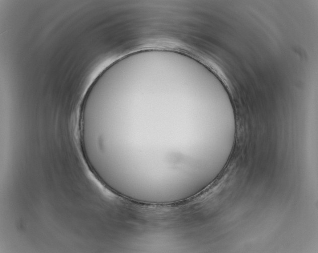 X0000111641103200907171033