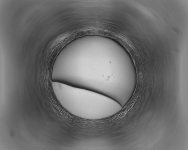 X0000111641111200907171032