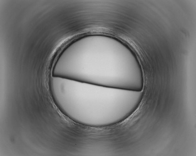 X0000111641115200907171032