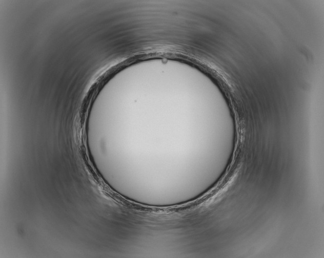 X0000111641117200907171032