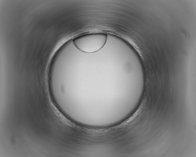 X0000111641122200907171033