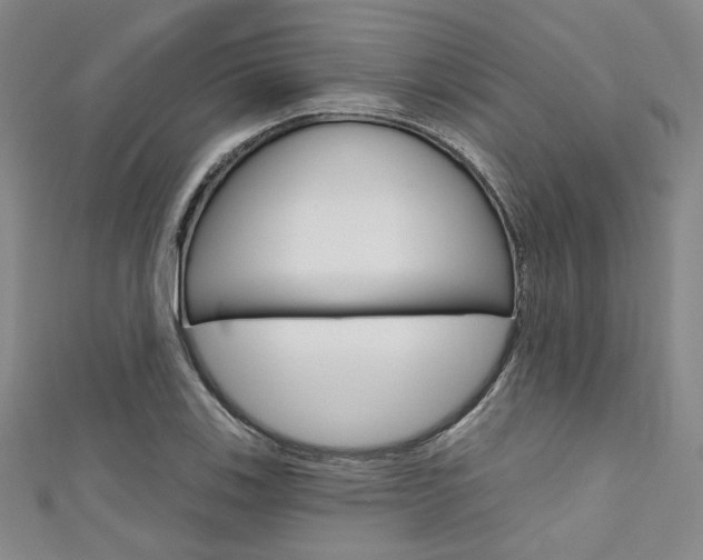 X0000111641123200907171033