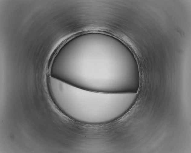 X0000111641124200907171033