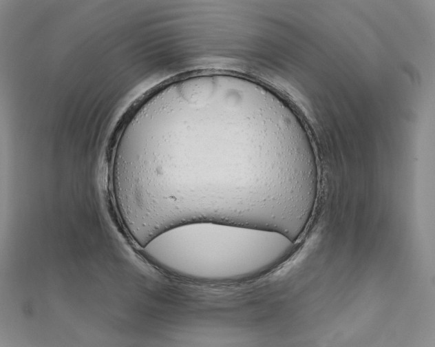 X0000111641125200907171033