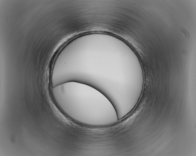 X0000111641126200907171033