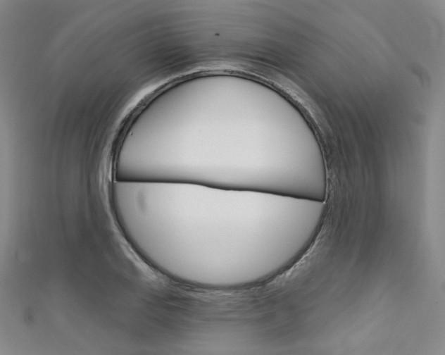 X0000111641127200907171033