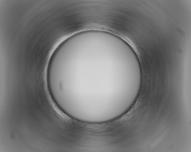 X0000111641128200907171033