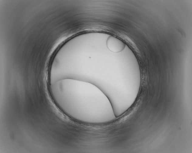 X0000111641130200907171033
