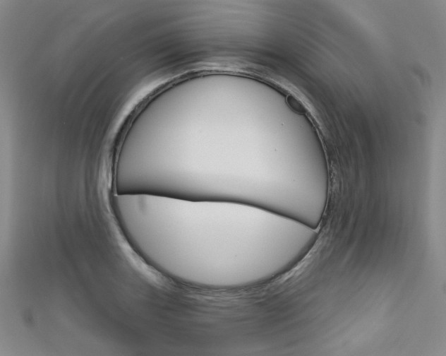 X0000111641131200907171033