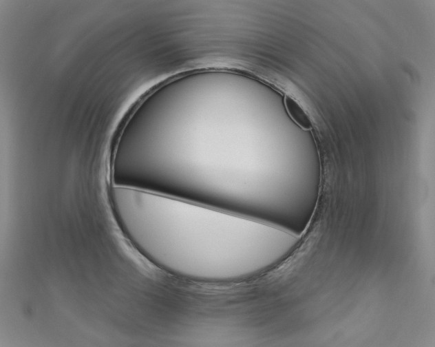 X0000111641132200907171033