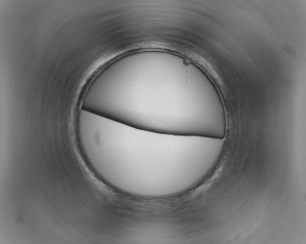 X0000111641133200907171033