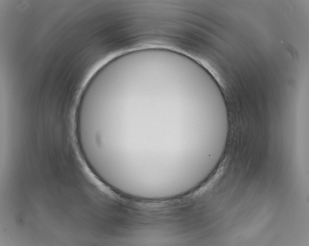 X0000111641134200907171033