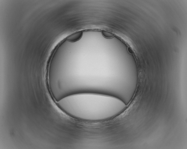 X0000111641135200907171033