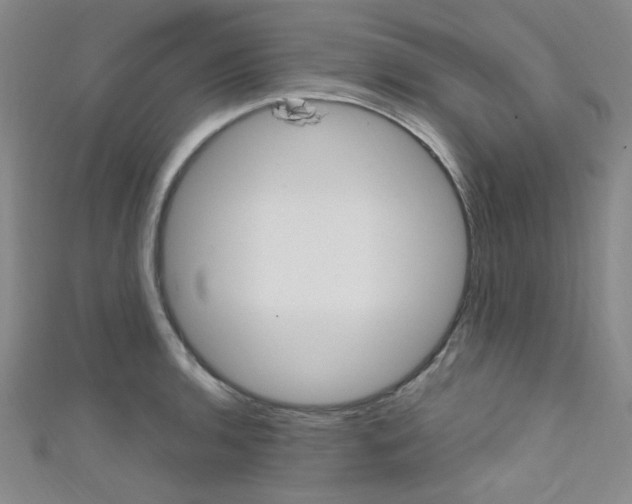 X0000111641136200907171033