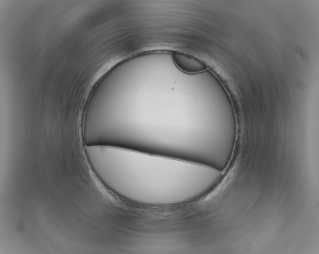 X0000111641137200907171033