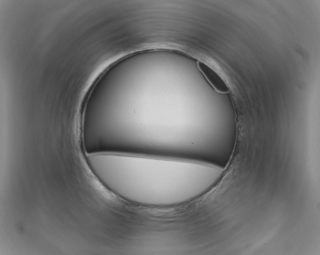 X0000111641140200907171033