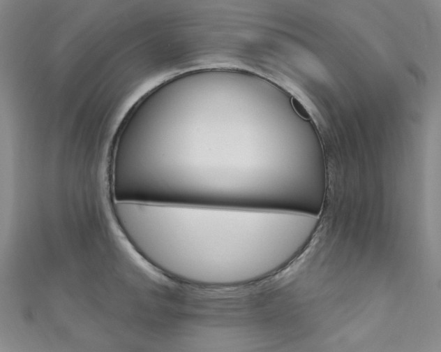X0000111641142200907171033