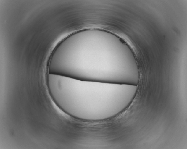 X0000111641143200907171033