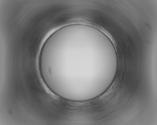 X0000111641144200907171033