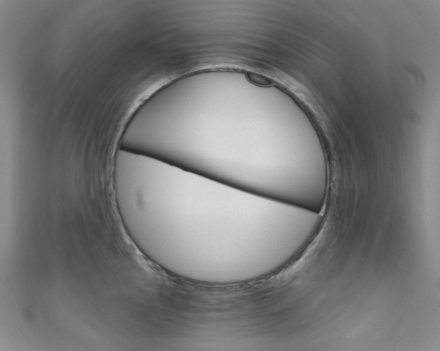 X0000111641145200907171033