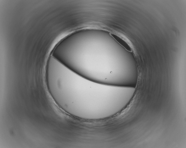 X0000111641146200907171033