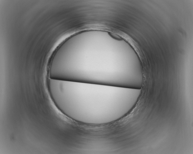 X0000111641147200907171033