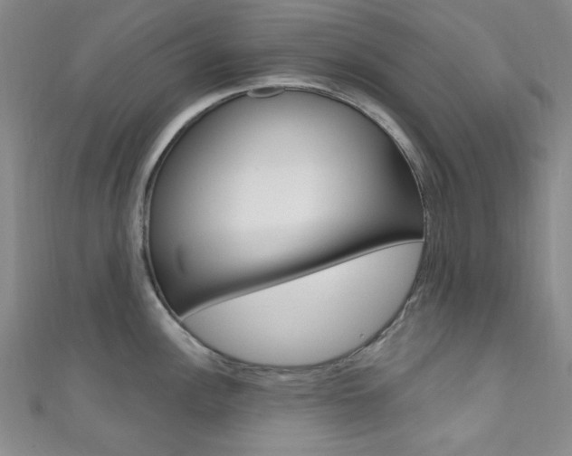 X0000111641148200907171033