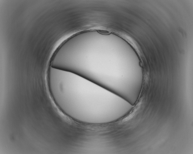 X0000111641149200907171033
