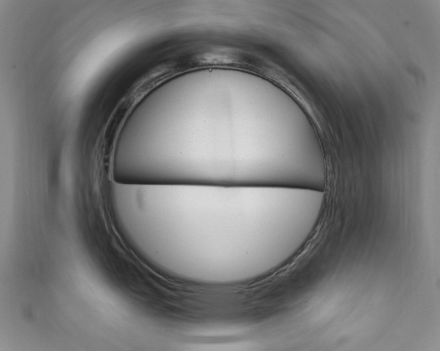 X0000111641151200907171033