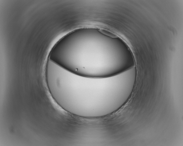 X0000111641152200907171033