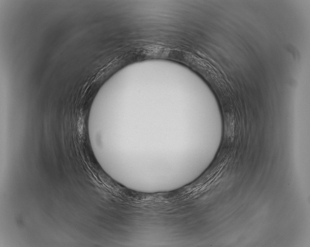 X0000111641154200907171032