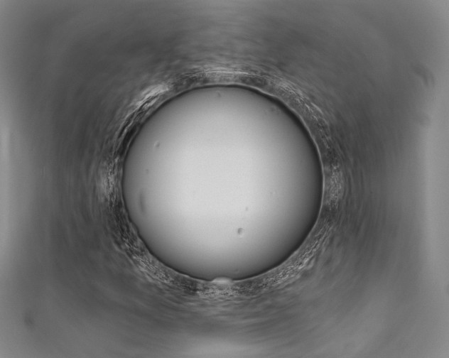 X0000111641157200907171032