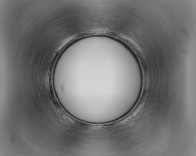 X0000111641162200907171032