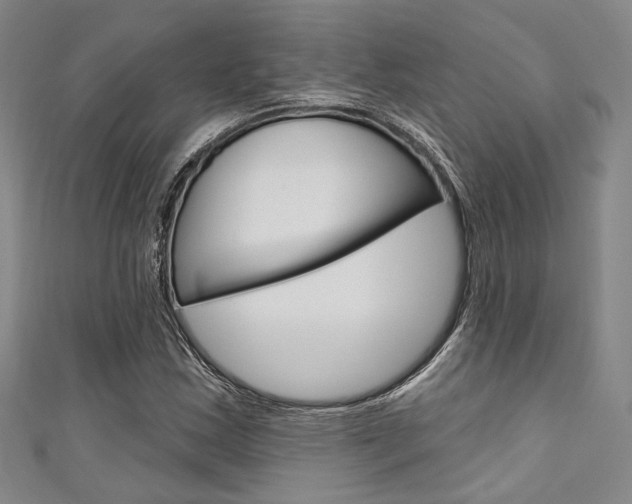 X0000111641163200907171032