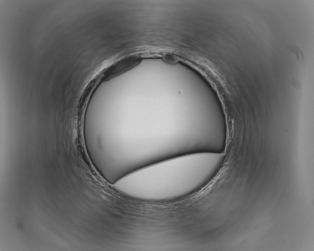X0000111641165200907171032