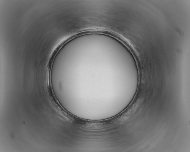 X0000111641171200907171032