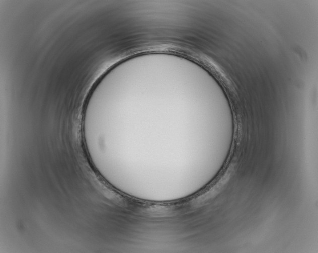 X0000111641178200907171032
