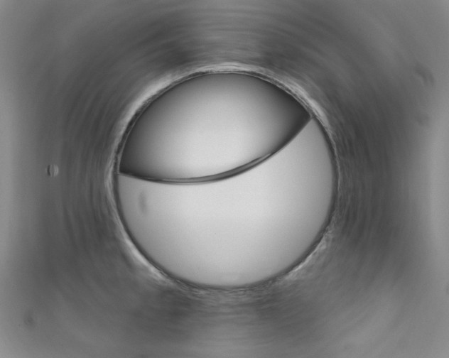 X0000111641189200907171032