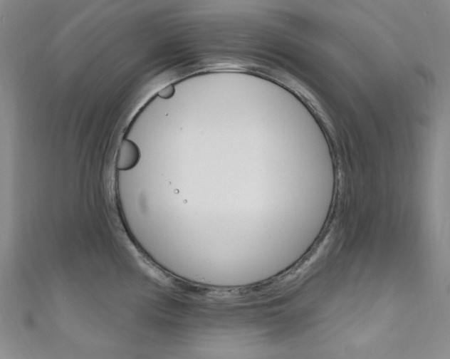 X0000111641194200907171032
