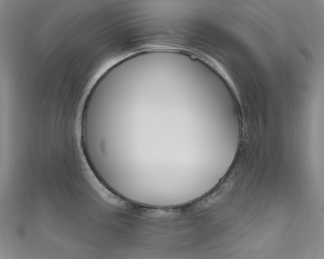 X0000111641195200907171032