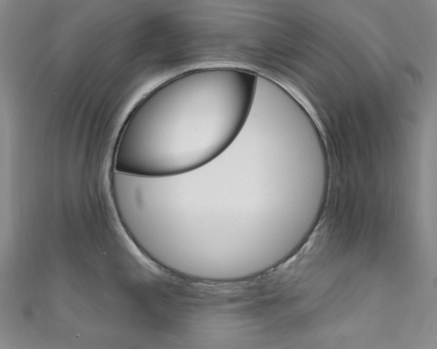 X0000111641197200907171032