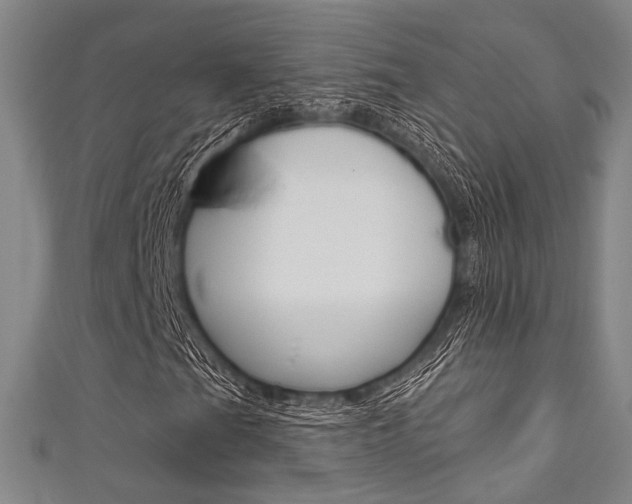 X0000111641201200907171031