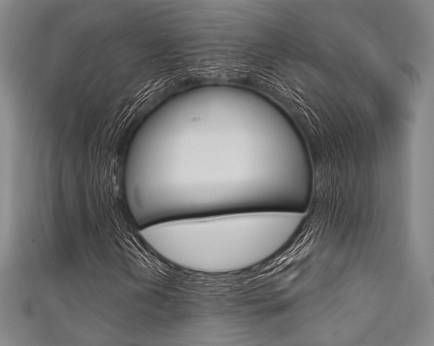X0000111641202200907171031