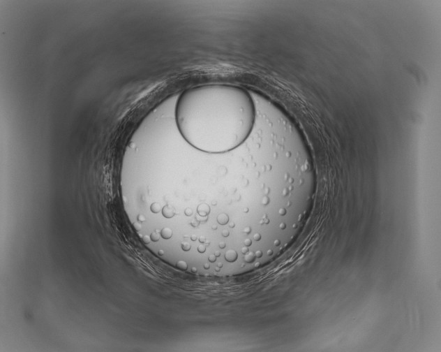 X0000111641205200907171031
