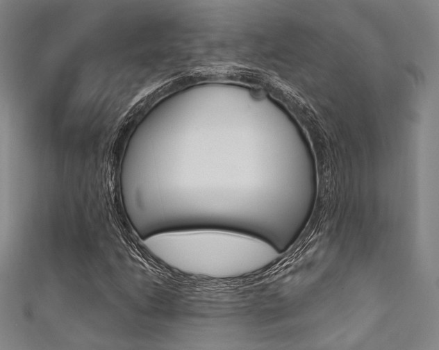 X0000111641206200907171031