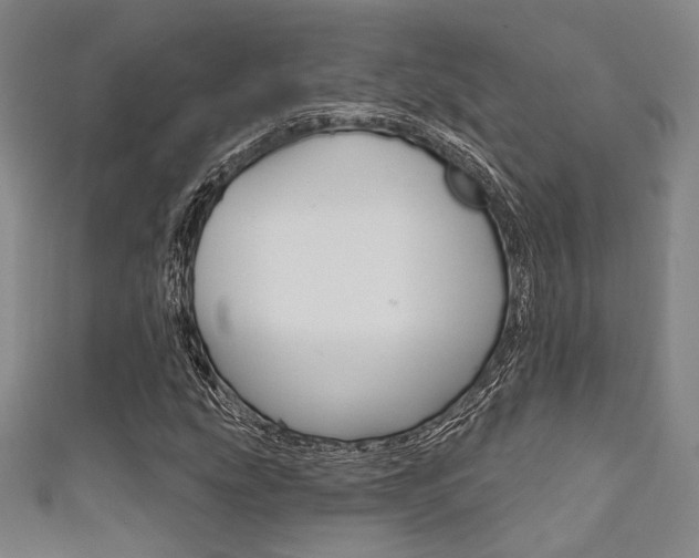 X0000111641207200907171031