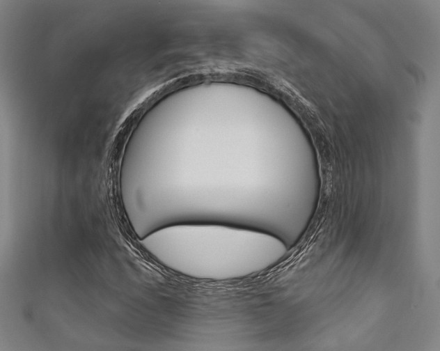 X0000111641208200907171031