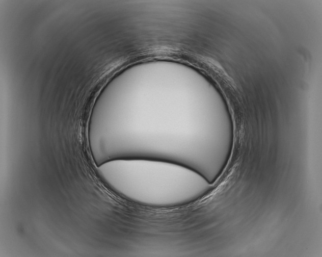 X0000111641209200907171031