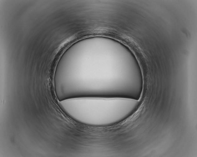 X0000111641210200907171031
